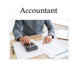 Accountant Websites